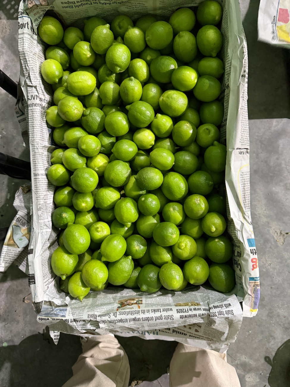 Quality Sorting & Grading